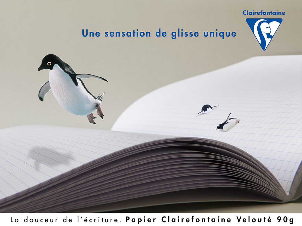 clairefontaine le pingouin